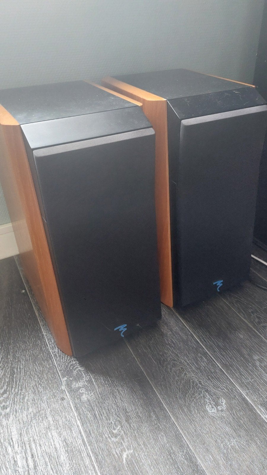 Focal Electra 906 (zeer zeldzaam), Ophalen