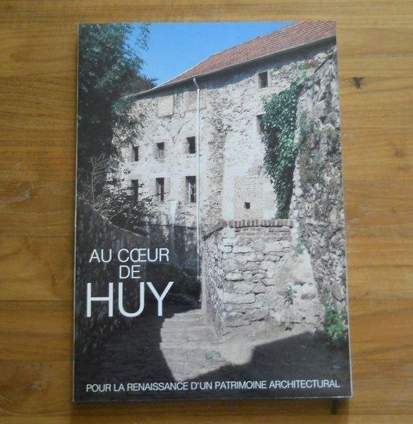 Au coeur de Huy - Renaissance d'un patrimoine architural, Boeken, Geschiedenis | Nationaal, Ophalen of Verzenden, Gelezen