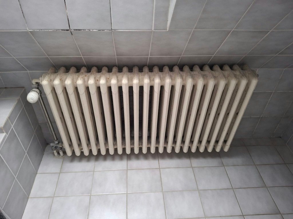 Gietijzeren radiator, Ophalen, 30 tot 80 cm, Gebruikt, Radiator
