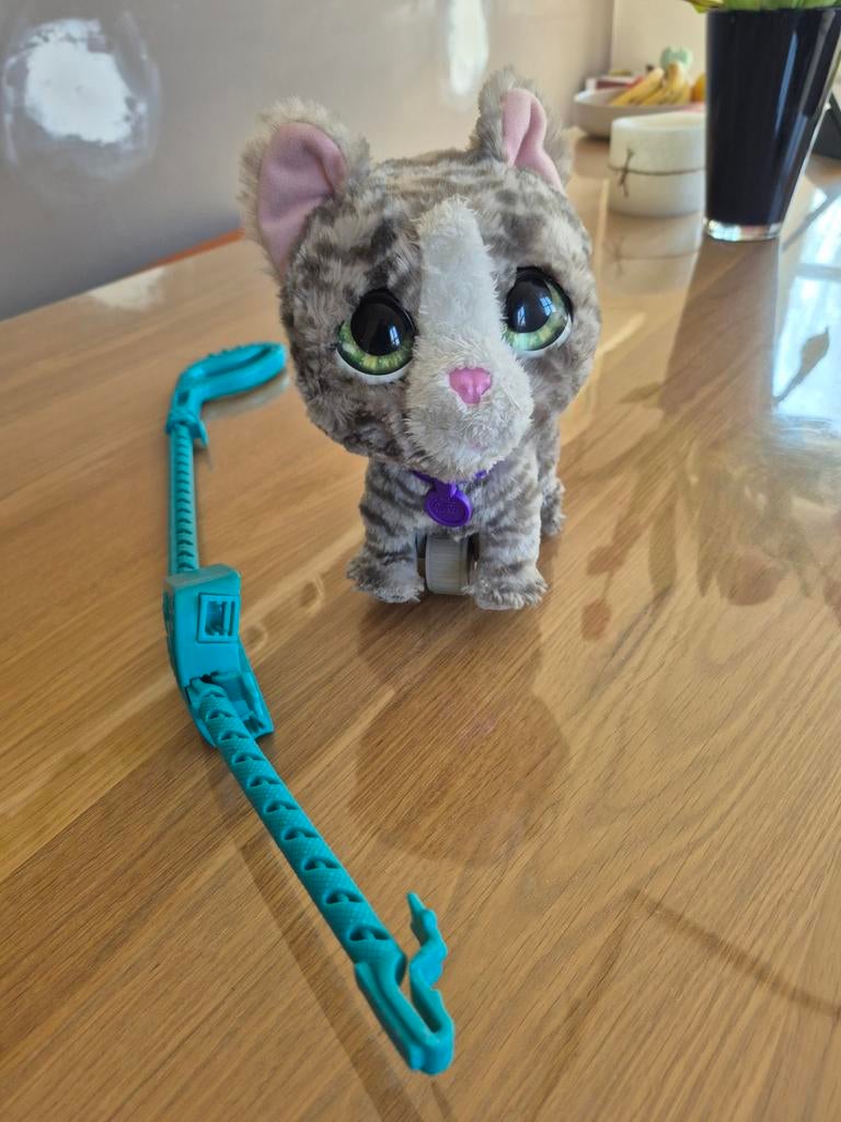 Kat met leiband, Ophalen