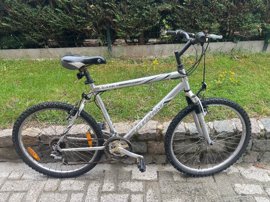 Vélo VTT, Frein sur jante, Giant, Enlèvement, Utilisé