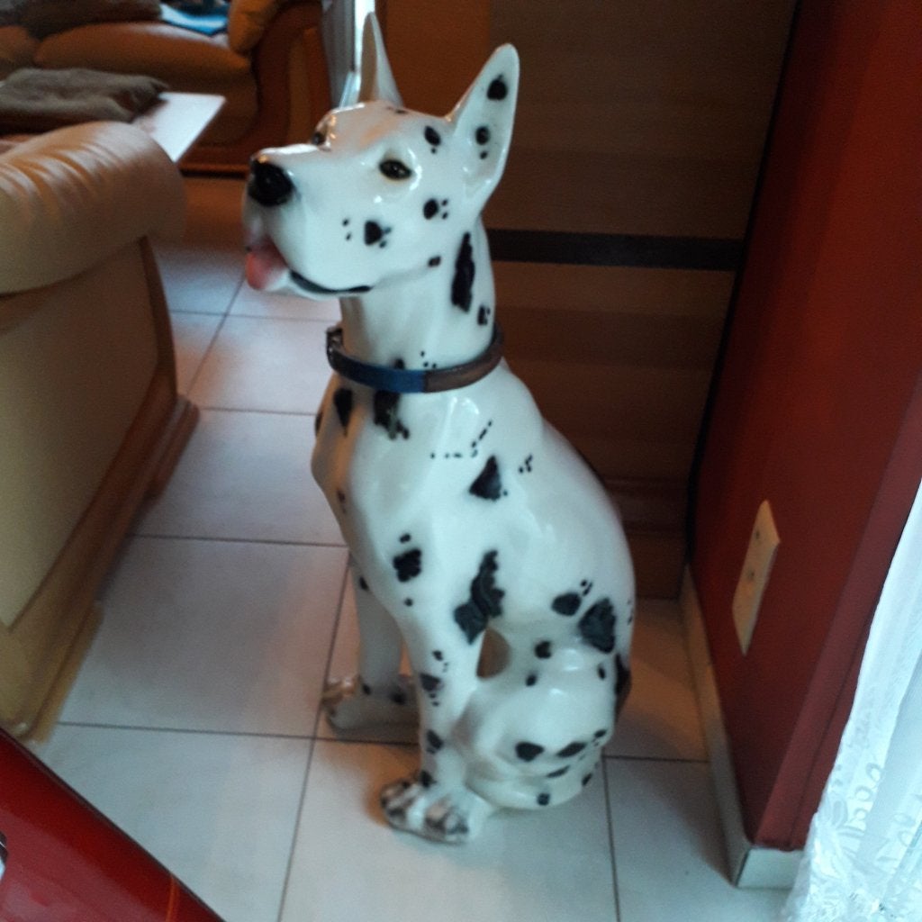 deense dog, Ophalen, Zo goed als nieuw, Dier