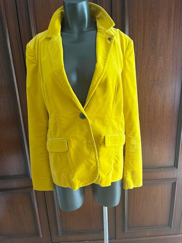 Kwaliteitsvolle velours blazer van “Comma”, Kleding | Dames, Ophalen of Verzenden, Zo goed als nieuw, Maat 42/44 (L)