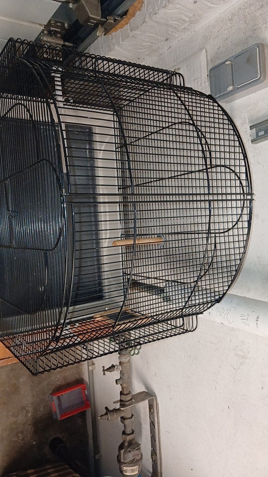 TEKOOP, Enlèvement, Utilisé, Métal, Cage à oiseaux