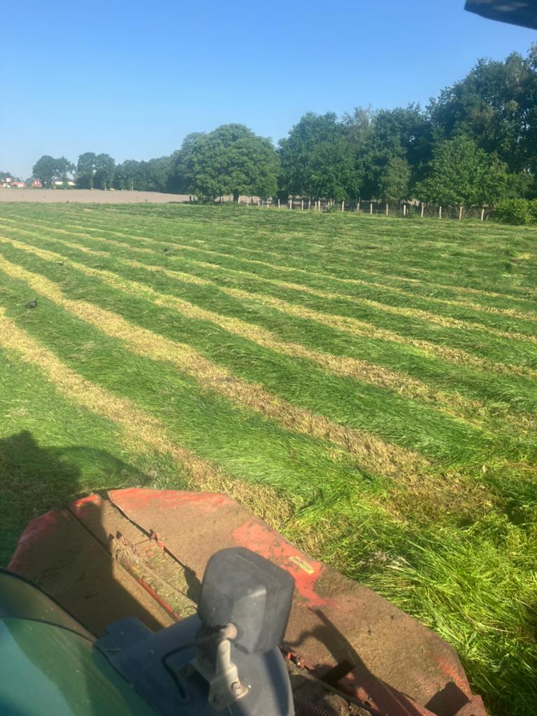 Gras afliggen voor hooibalen, Zakelijke goederen, Landbouw | Veevoer, Ophalen of Verzenden