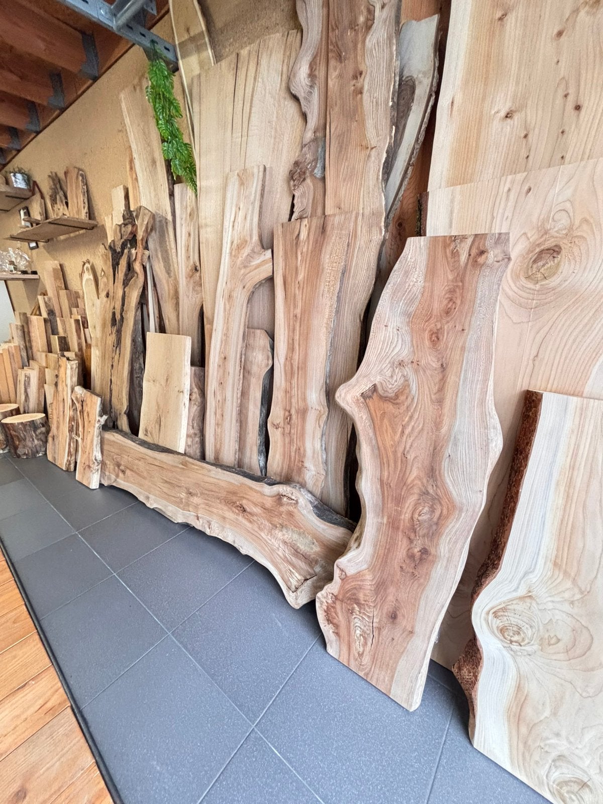 Schaaldelen, Doe-het-zelf en Bouw, Hout en Planken, Nieuw, Ophalen