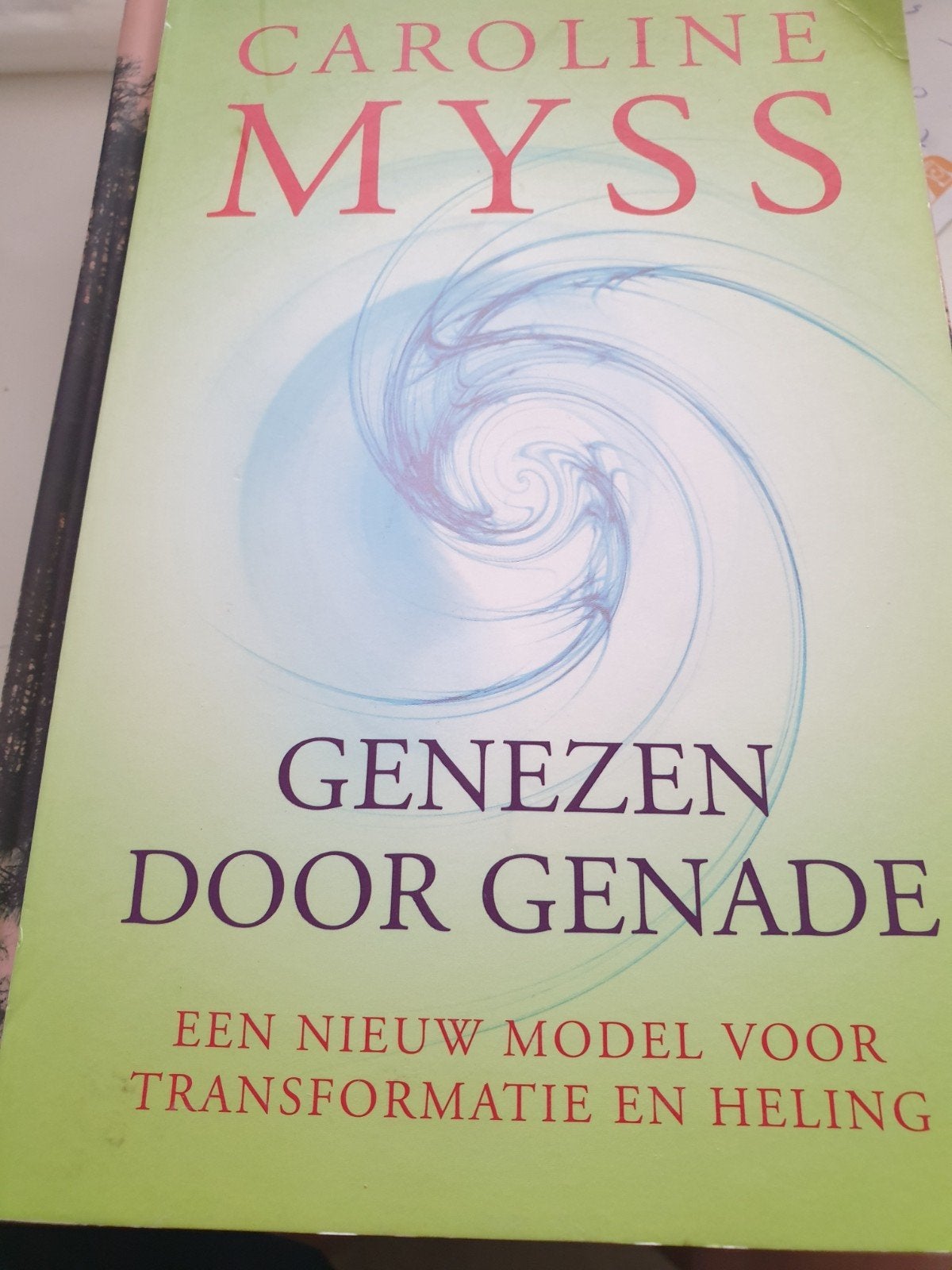Caroline Myss - Genezen door genade, Enlèvement ou Envoi, Utilisé, Caroline Myss