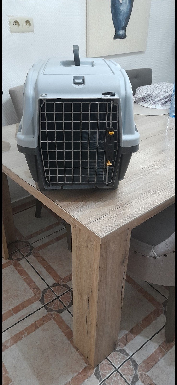 cage de transport pour chat, petit chien en très bon état, Enlèvement