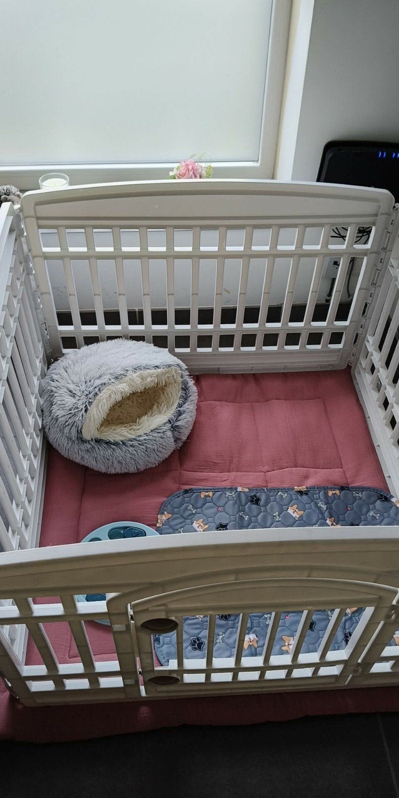 parkje voor hondje, Animaux & Accessoires, Enlèvement, Comme neuf
