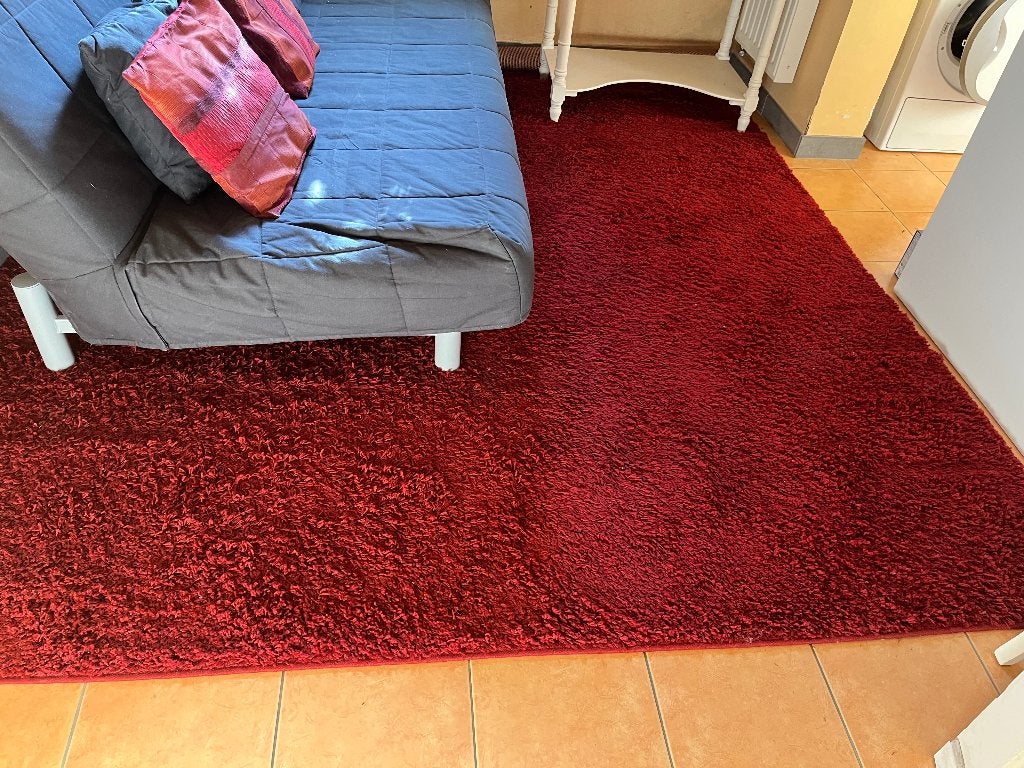 Tapis Shaggy rouge, Ophalen, Gebruikt, 200 cm of meer, 200 cm of meer