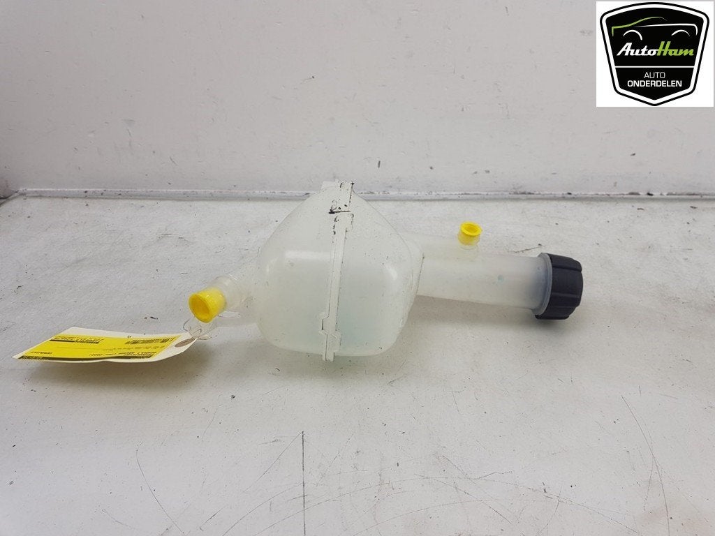 VASE D'EXPANSION Renault Arkana (RJLL) (|217102102R|), Dhr. J. Ham, Renault, Administratie@autoham.nl, Utilisé