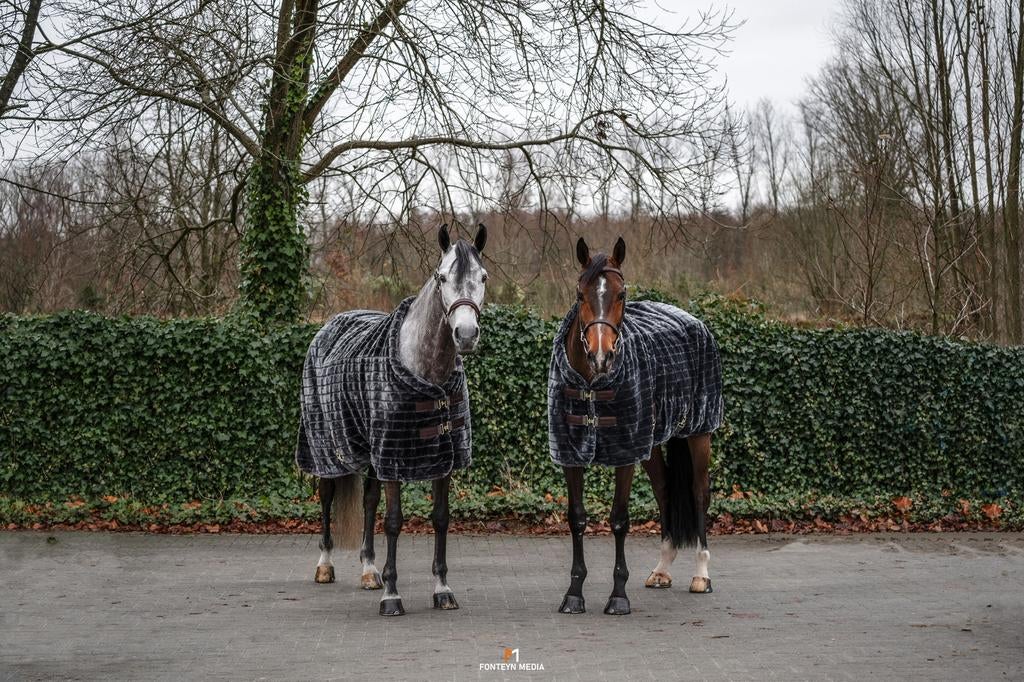 Prachtige Kentucky deken te koop, 2 stuks, Ophalen, Deken