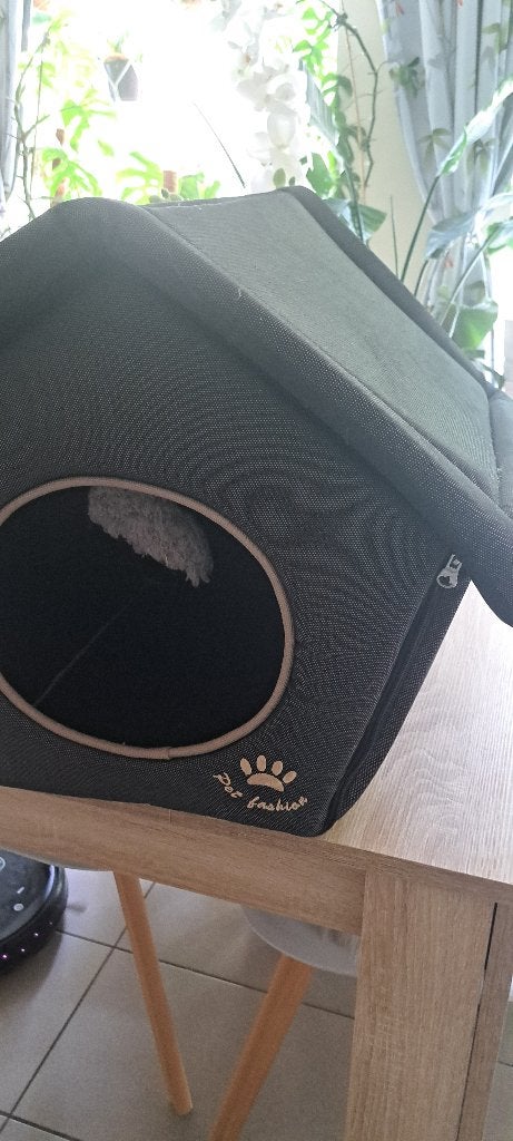 Kattehuisje, Animaux & Accessoires, Accessoires pour chats, Enlèvement