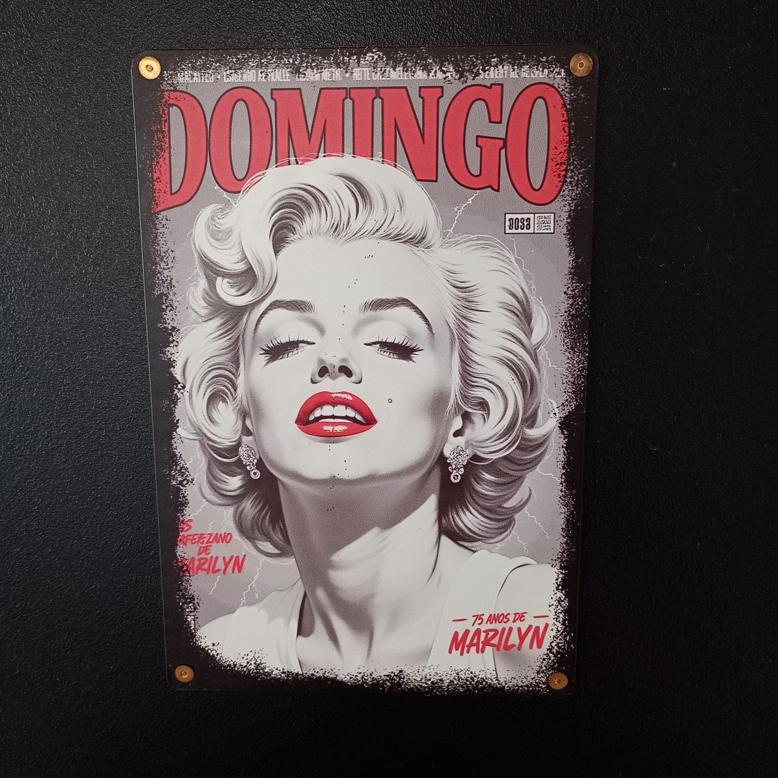 wandbord in blik 20x30 Marilyn Monroe, Ophalen