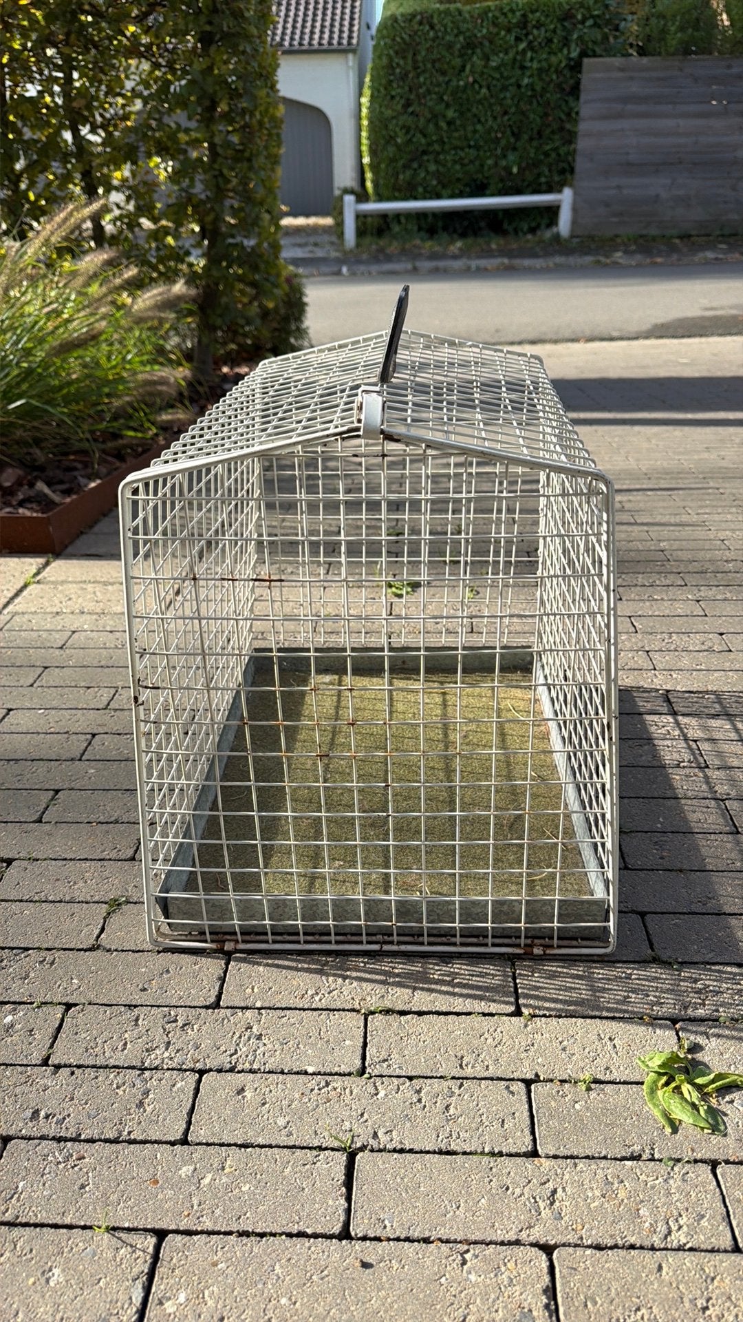 Cage de transport animal ( lapin,rongeur,petit chien,…), Enlèvement, Comme neuf
