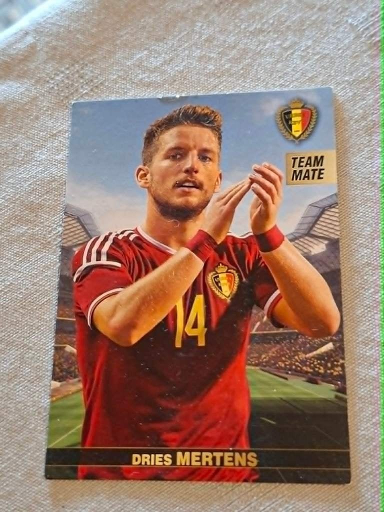 Panini / Voetbalkaart / Dries Mertens / Rode Duivels / 2016, Verzamelen, Ophalen of Verzenden, Gebruikt, Spelerskaart