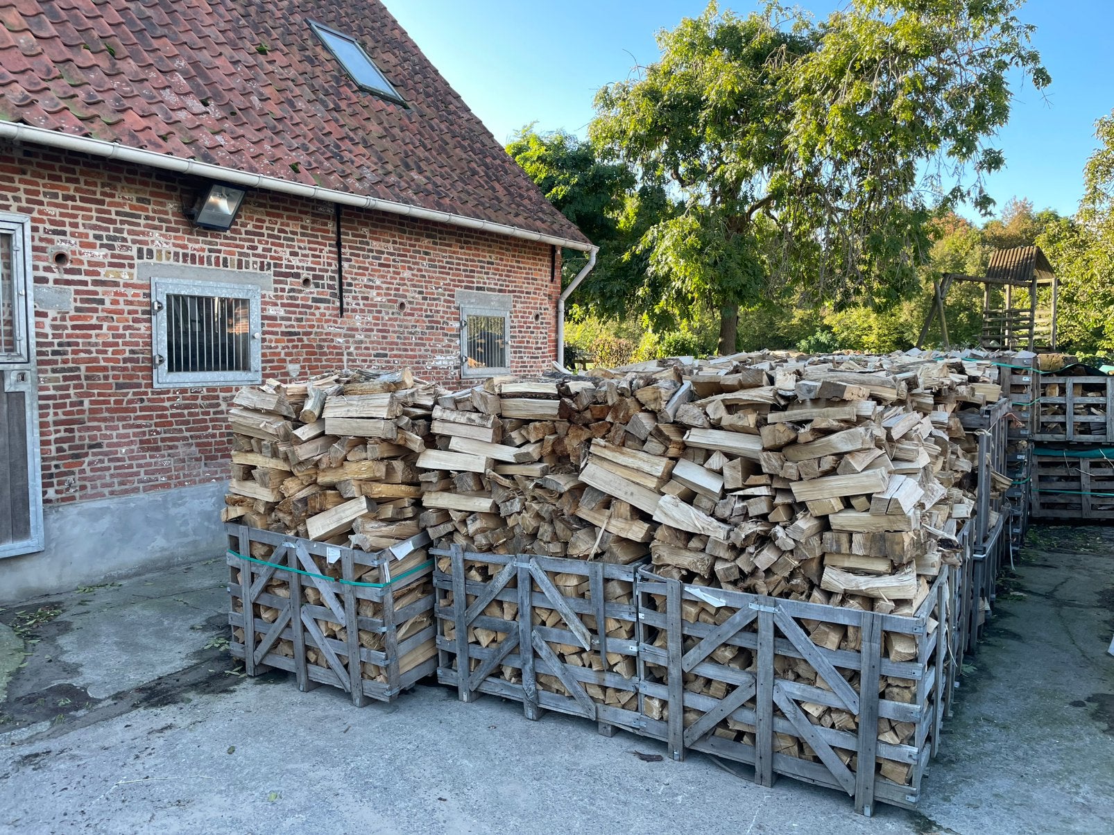 Brandhout Populier 25 Kub gestapeld., Enlèvement