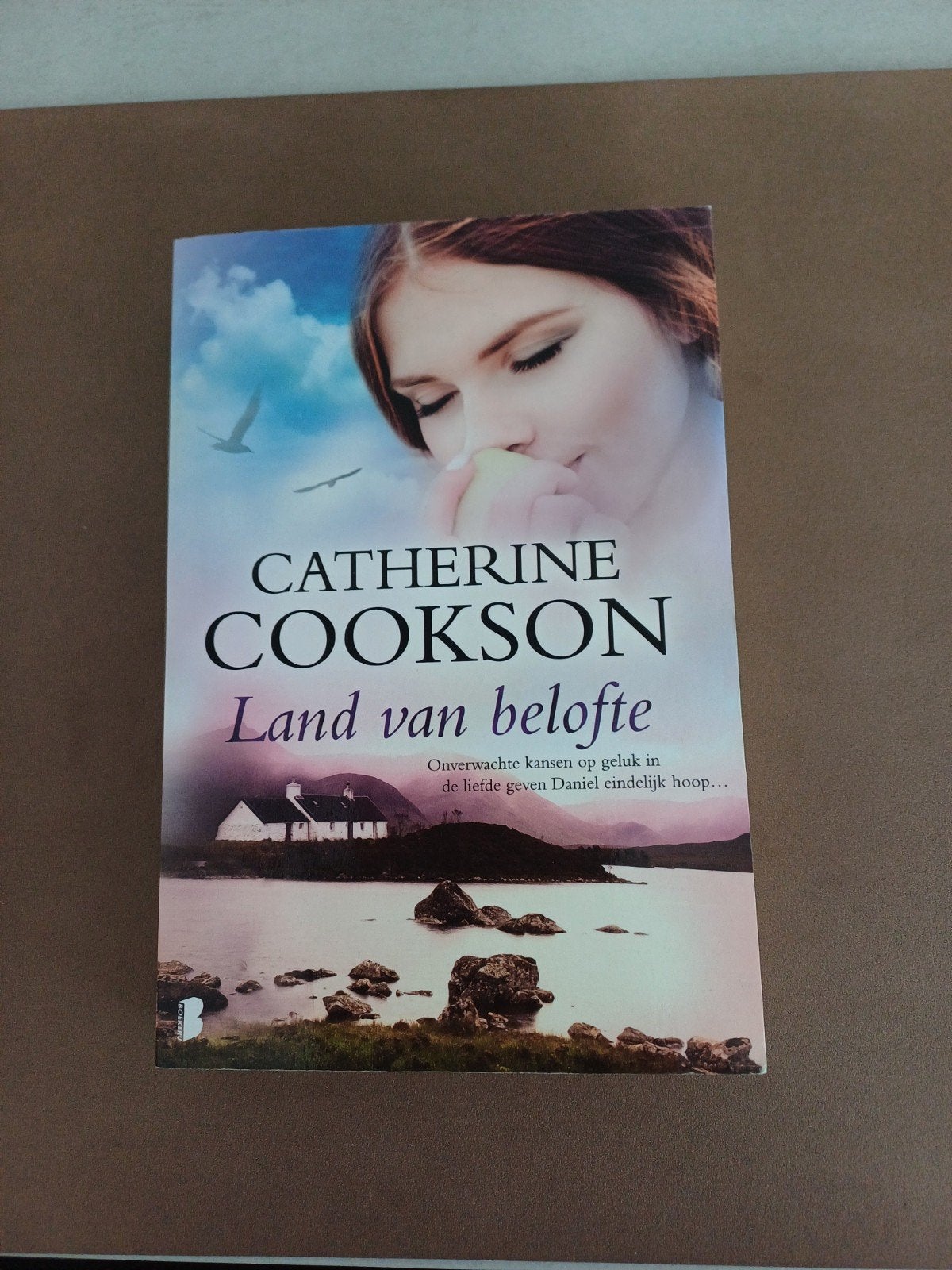 Catherine Cookson - Land van belofte, Boeken, Ophalen, Catherine Cookson