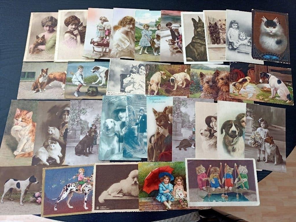 54 katten/honden, Collections, Cartes postales | Thème, Enlèvement ou Envoi