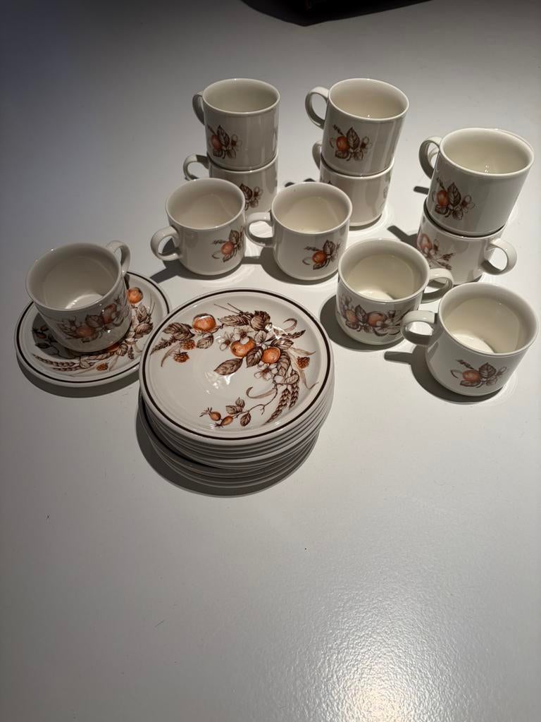 Royal Tudor 12 kopjes en schotels, nooit geserveerd, Ophalen