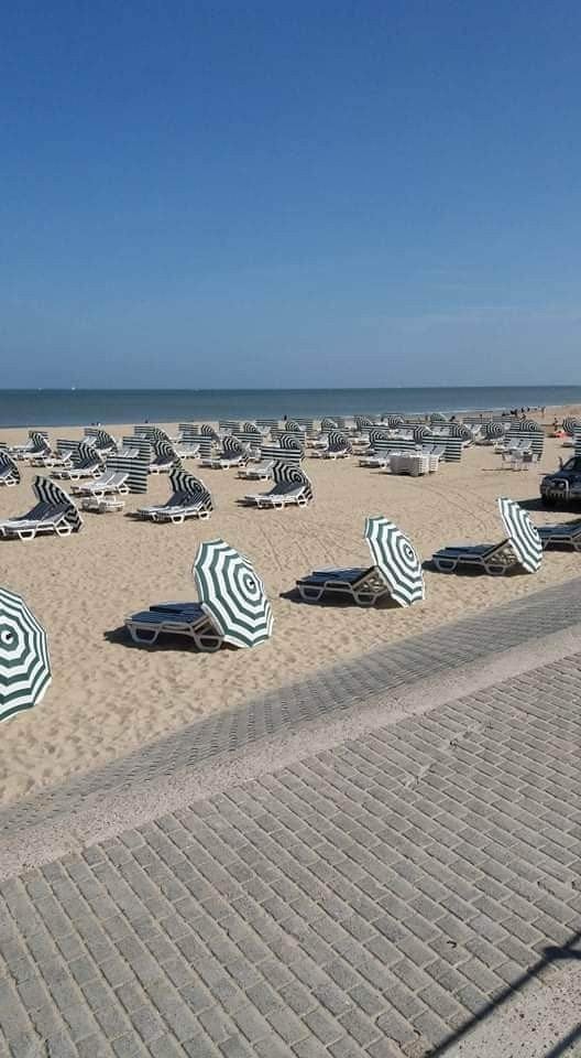 Congé de bord de mer disponible dès maintenant.