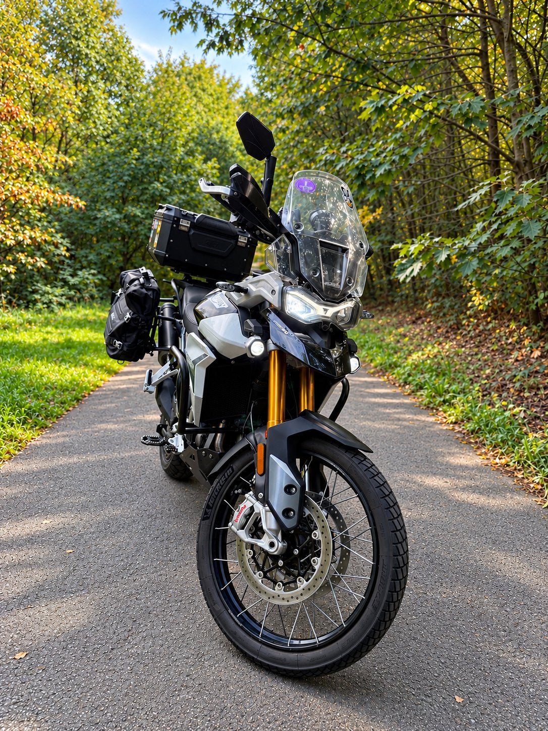 Triumph Tiger 900 Rally Pro, Selle chauffante, Tourisme, Plus de 35 kW, Particulier