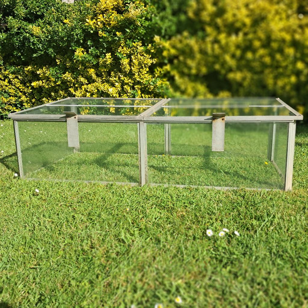 Mini serre, Verre, Serre, Enlèvement, Utilisé