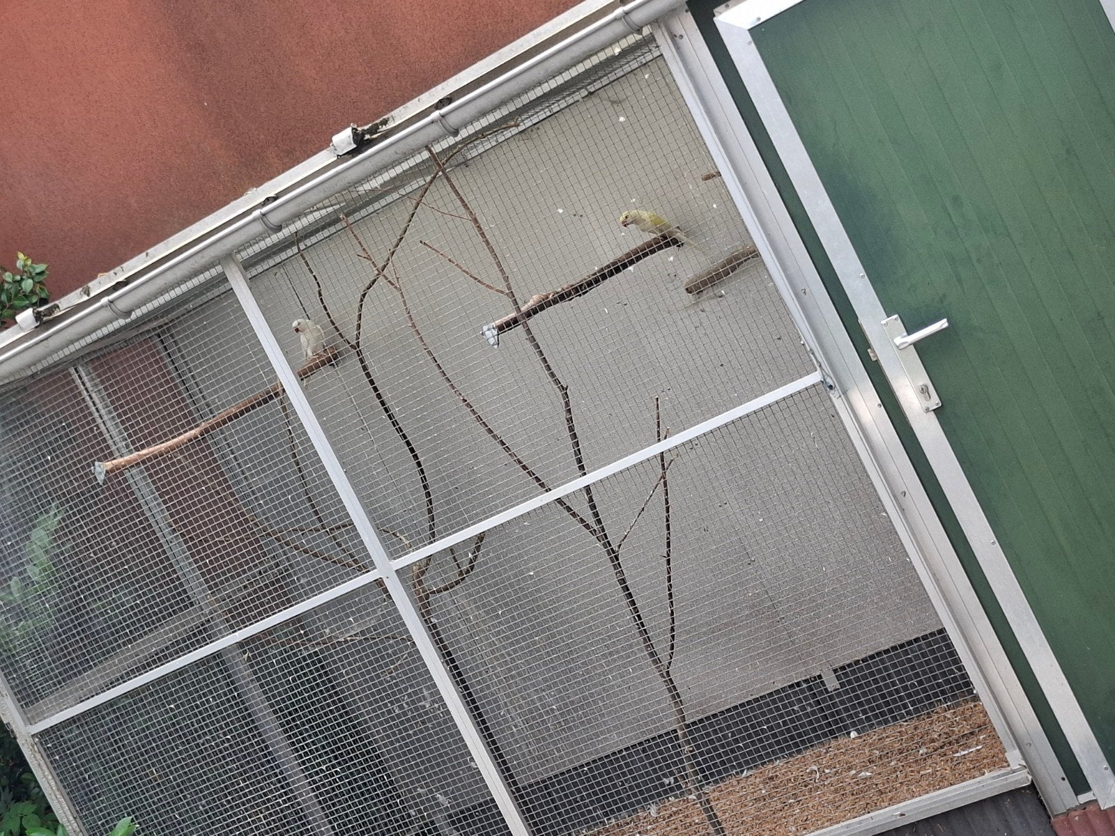 Aluminuim voliere en voorzet ramen, Enlèvement