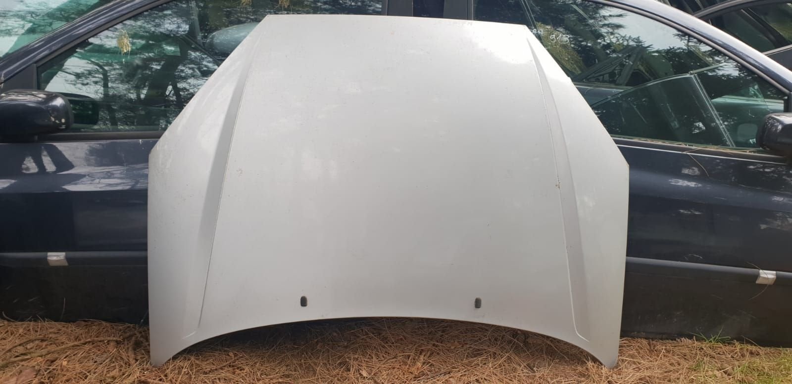 FORD FOCUS MK1 MOTORKAP BJ 98 TOT 2005, -, Utilisé, -, Capot moteur