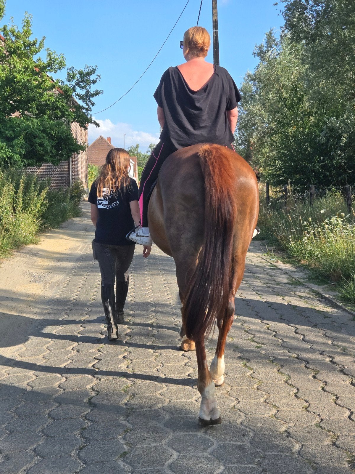 PAARDRIJLESSEN & WANDELINGEN AANGEBODEN!, Dieren en Toebehoren, Ophalen of Verzenden