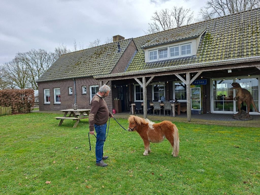 Prachtig mini paardje, Dieren en Toebehoren, Pony's, Merrie, A pony (tot 1.17m), Gechipt, 0 tot 2 jaar