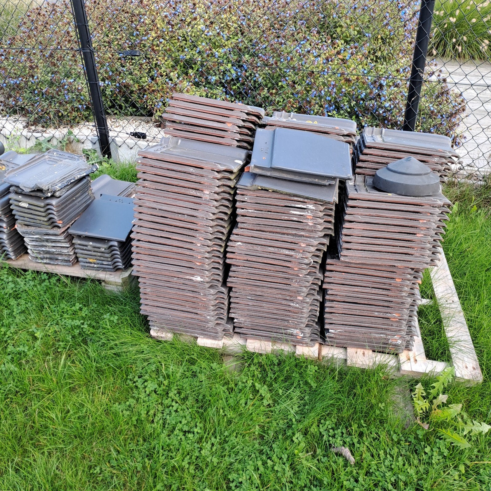dakpannen merk koramic, Doe-het-zelf en Bouw, Ophalen, Gebruikt, Overige kleuren, Dakpannen