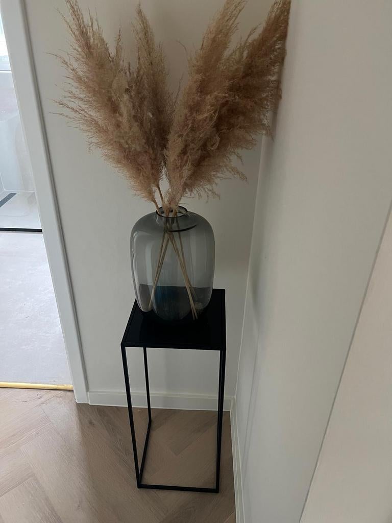Glazen vaas met pluimen, Enlèvement