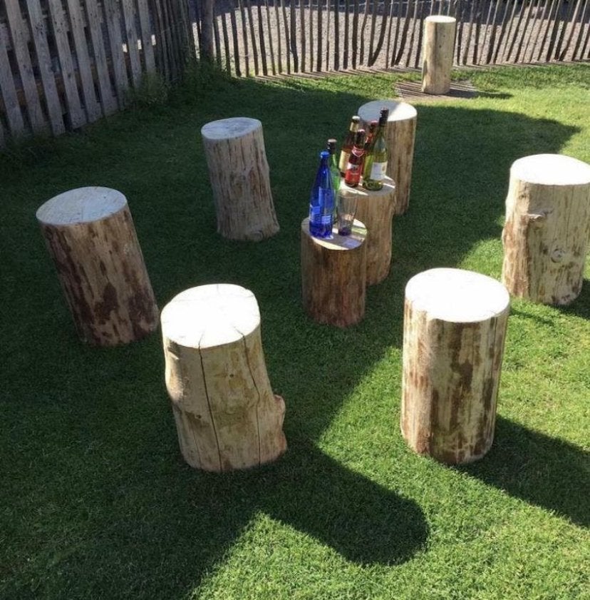 Boomstam, zitblok, tafelstam, nagelblok, decoratieve blok, Enlèvement, Bois