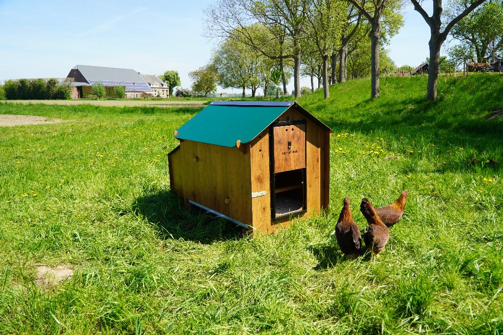 Trespa Kippenhok Cucciolotta Classic L | Grondmodel, Animaux & Accessoires, Enlèvement ou Envoi