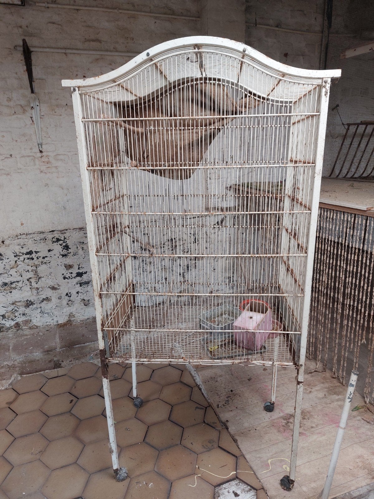 vogelkooi  1m80 op 70c, Dieren en Toebehoren, Ophalen, Vogelkooi