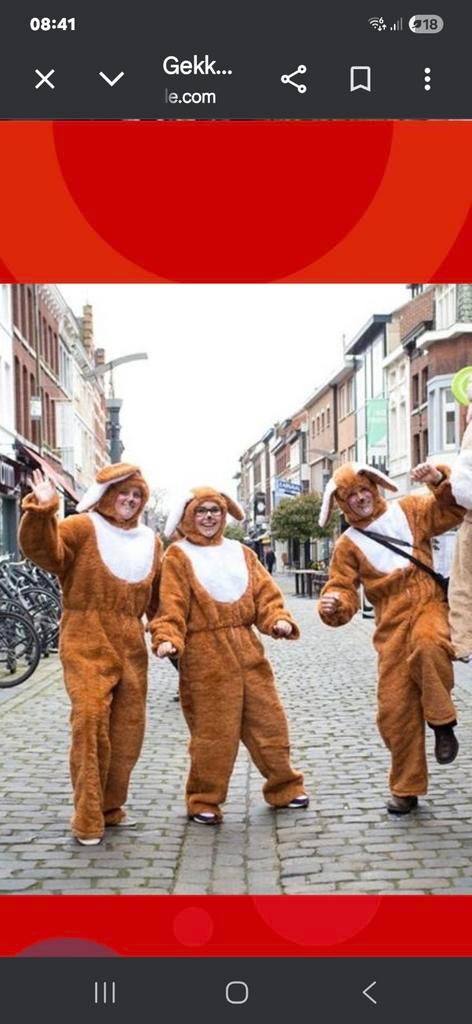 Paashaas kostuum te koop, Ophalen of Verzenden