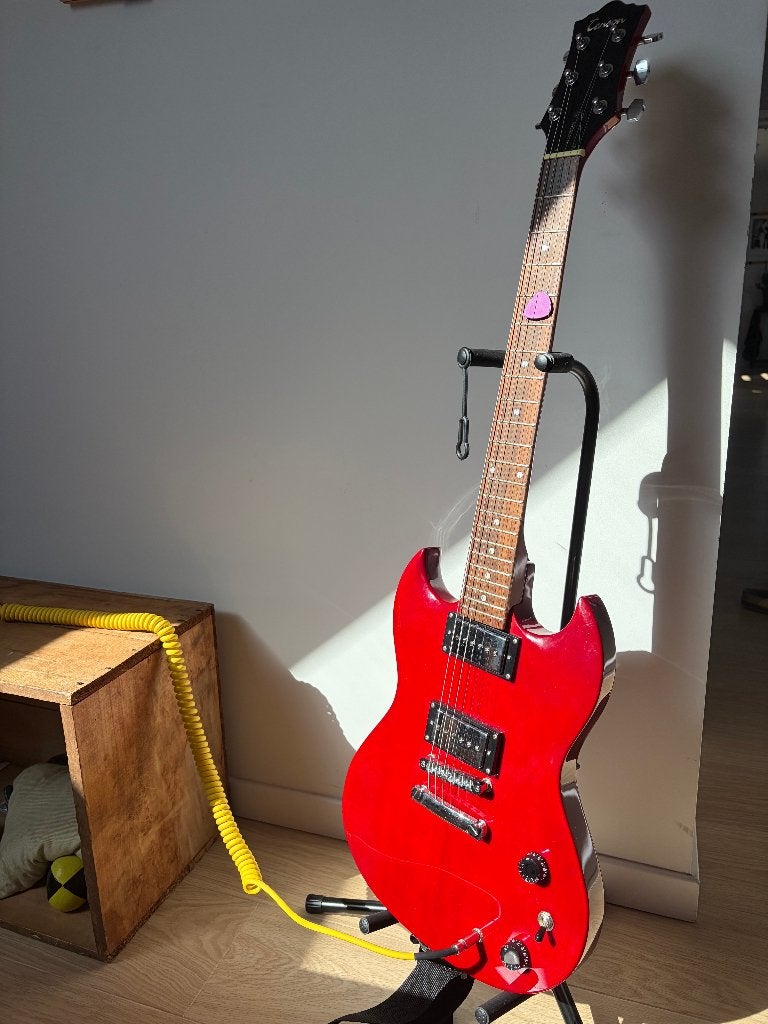 SG P90 guitar, Enlèvement