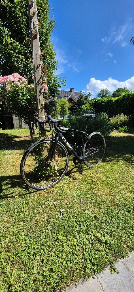 Cube Attain SL maat 53, Fietsen en Brommers, Ophalen, Gebruikt, Carbon, Heren