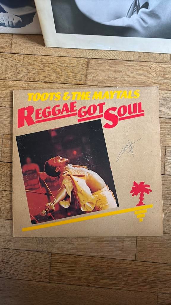 Toots & the Maytals - Reggae Got Soul, Ophalen, Gebruikt