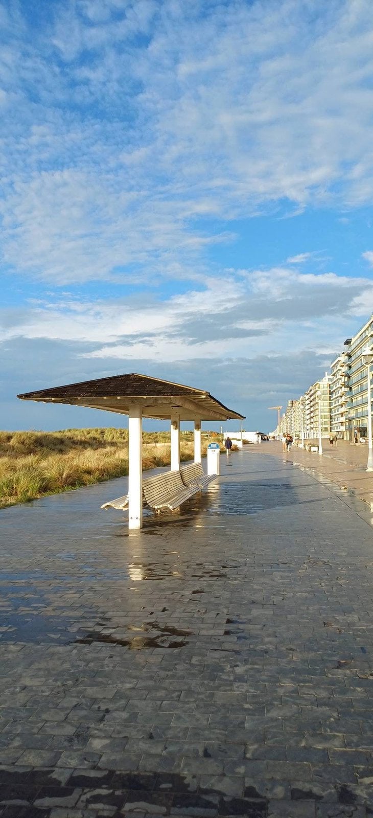 Vakantieverhuur appartement nieuwpoort bad Albert1Laan, Vakantie, Wasmachine, Appartement