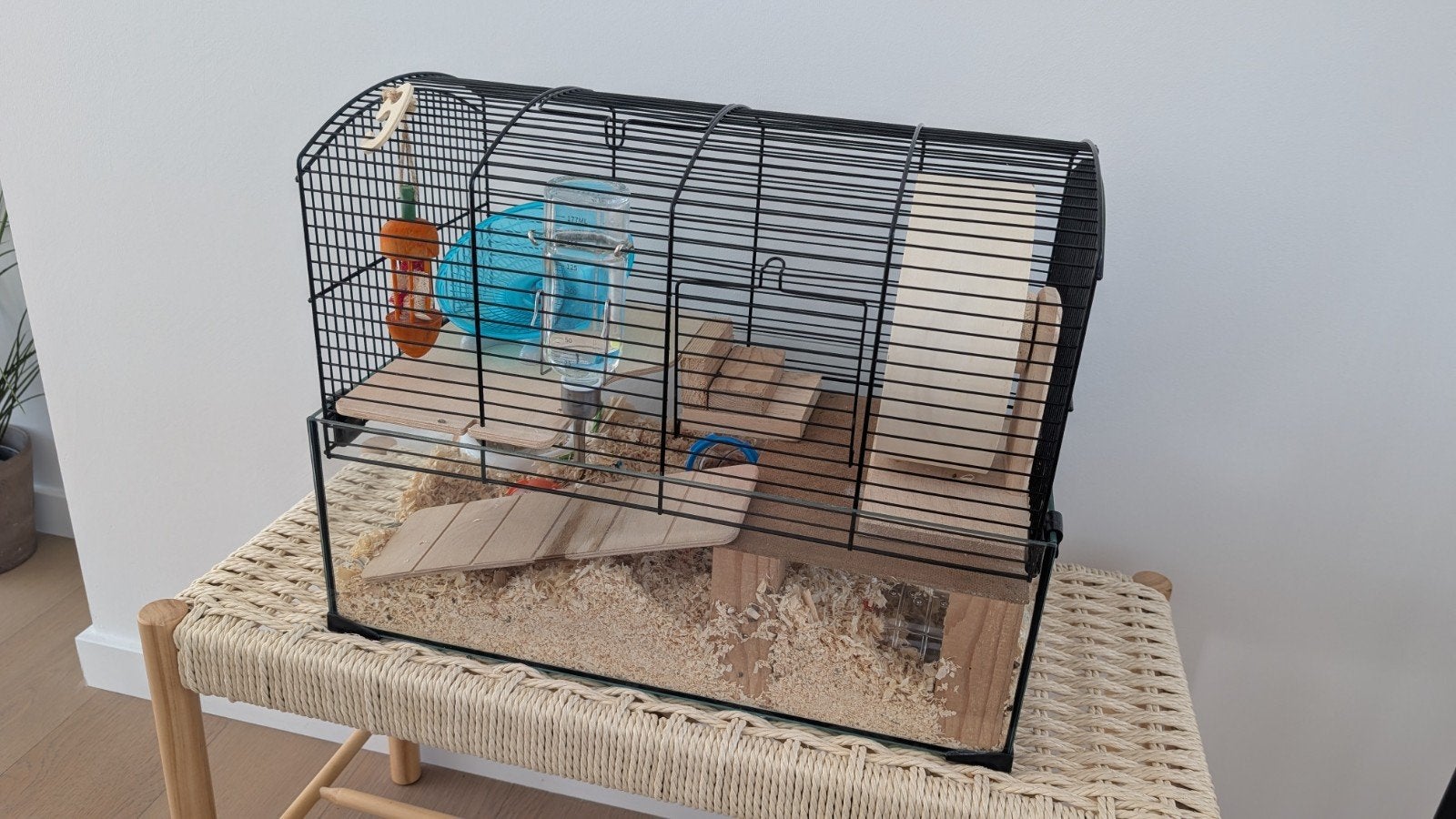 Hamsterkooi met alle toebehoren - Uitstekende staat, Animaux & Accessoires, Enlèvement, Comme neuf, Cage, Hamster