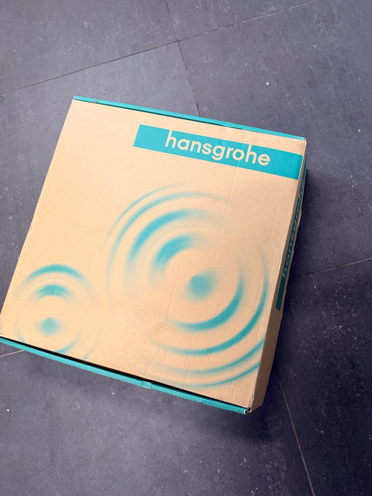 Hansgrohe Raindance e300 (Nieuw Mat zwart), Ophalen, Nieuw