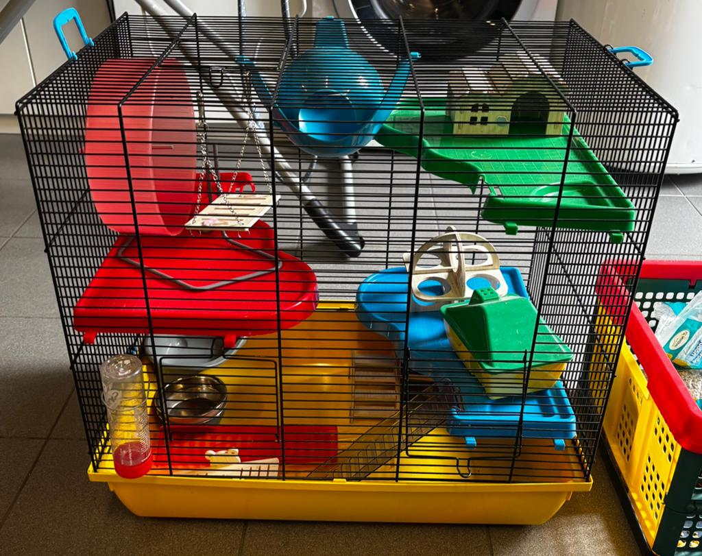 Cage hamster complète, Kooi, Minder dan 75 cm, Zo goed als nieuw, Hamster