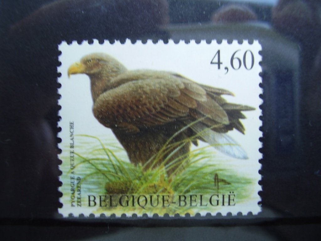 3871 postfris - Zeearend, Ophalen of Verzenden, Postfris