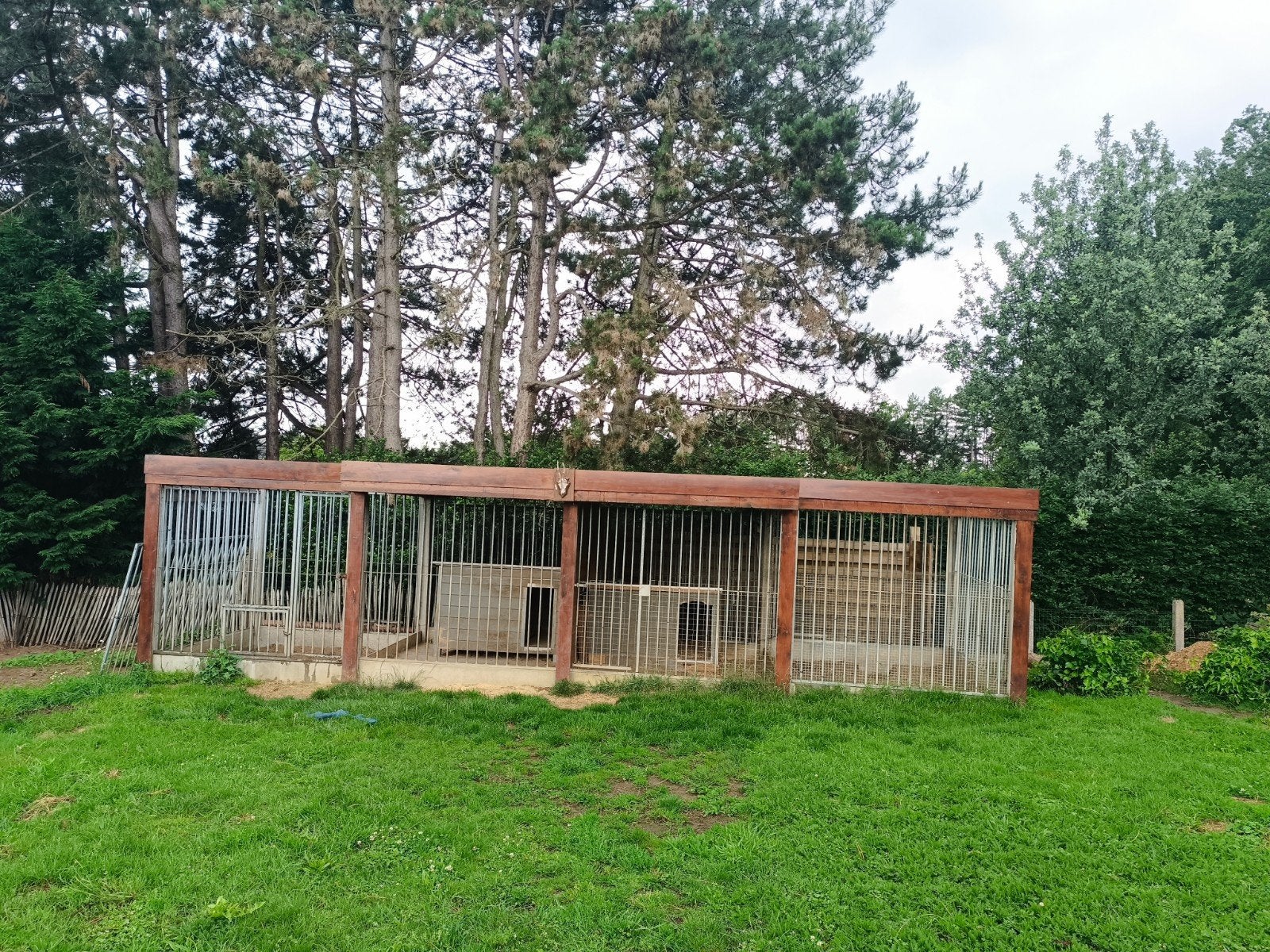 Honden hok, Dieren en Toebehoren, Ophalen