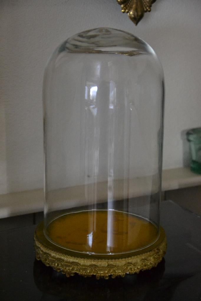 antieke glazen stolp, Ophalen