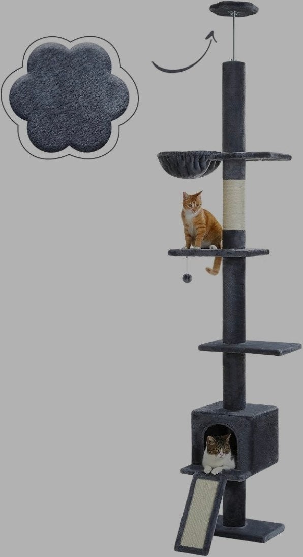 Arbre à chat plafonnier, Enlèvement, Comme neuf, Griffoir