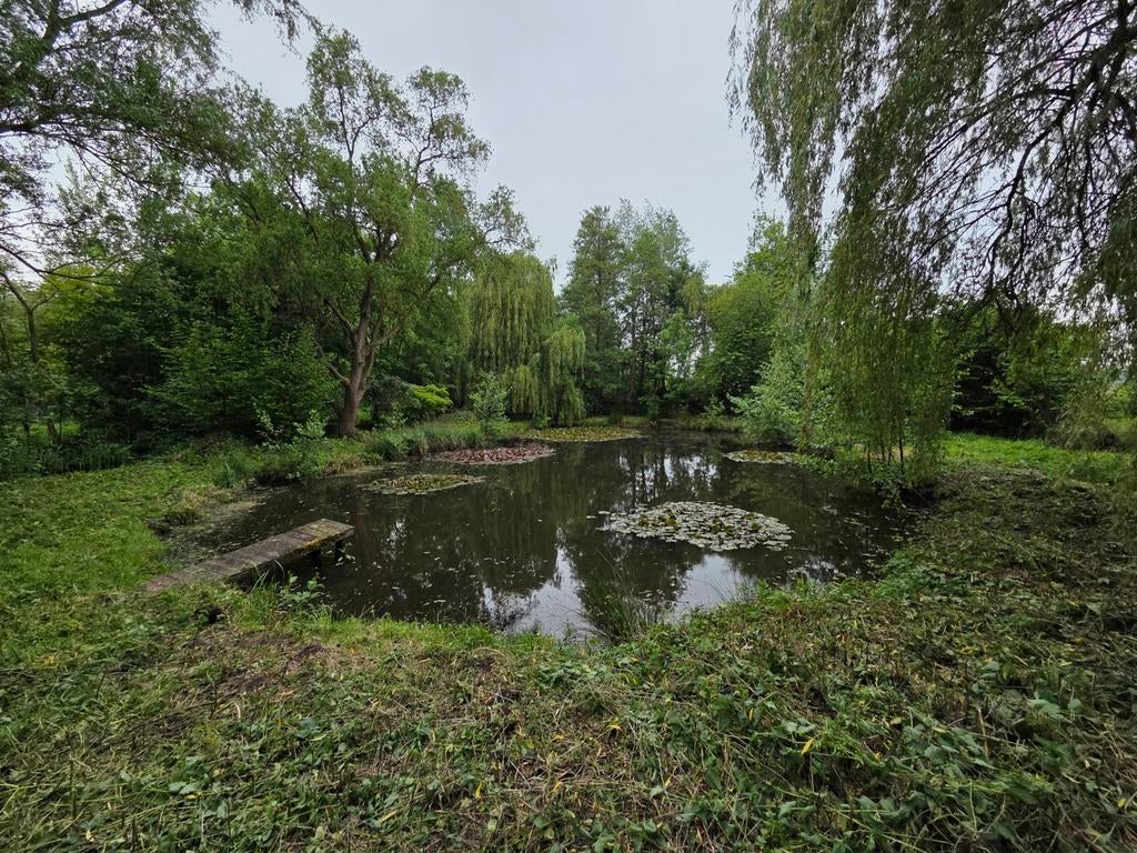 Visvijver met eilandje te koop – natuurgebied, Immo