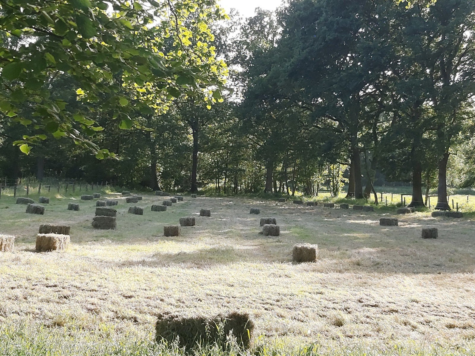 Kleine pakken hooi 2026, Zakelijke goederen, Landbouw | Veevoer, Ophalen